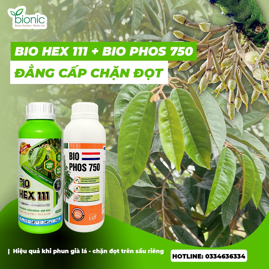 BIO HEX 111 - BIO PHOS 750 BỘ ĐÔI CHẶN ĐỌT GIÀ LÁ NHANH