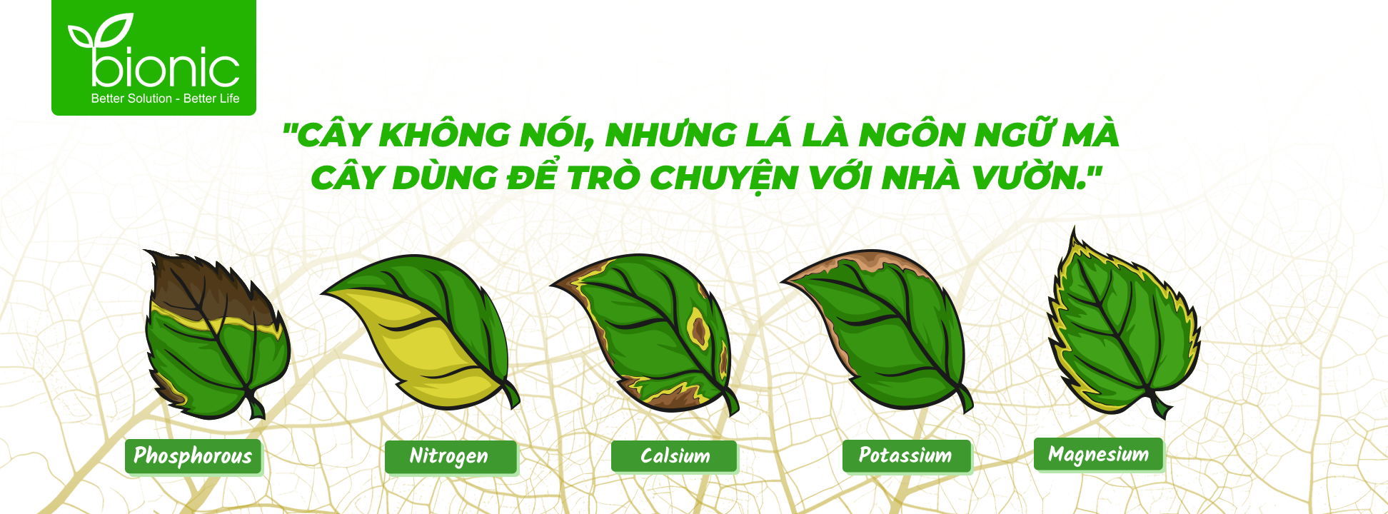 525461718_122130973958858360_8281769185150077232_n